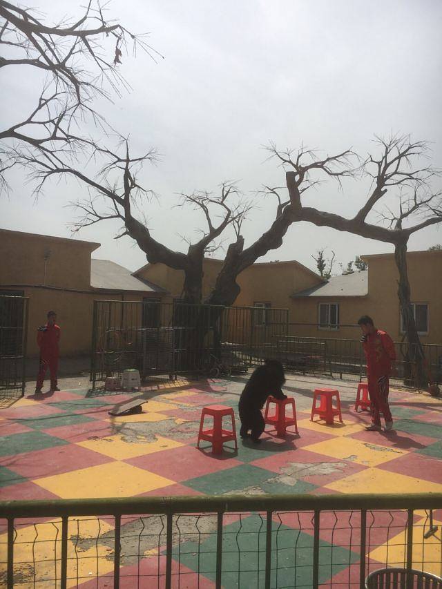 盐城大丰港动物园