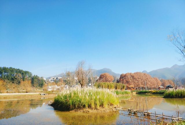 金海雪山四季花谷