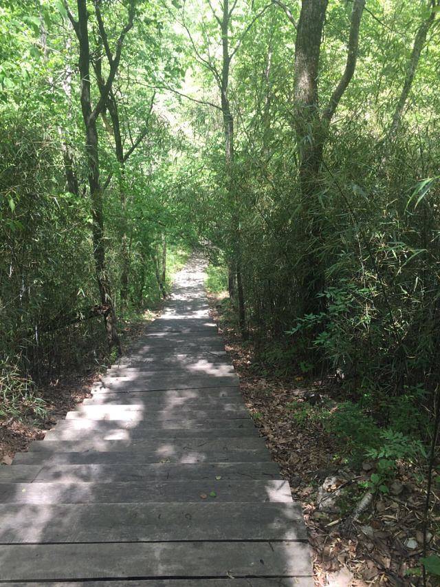 略阳五龙洞国家森林公园