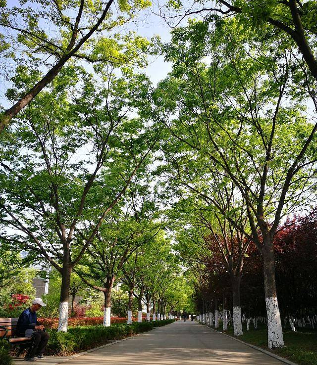 淮海战役烈士纪念塔