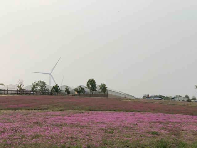 东海森林温泉度假区