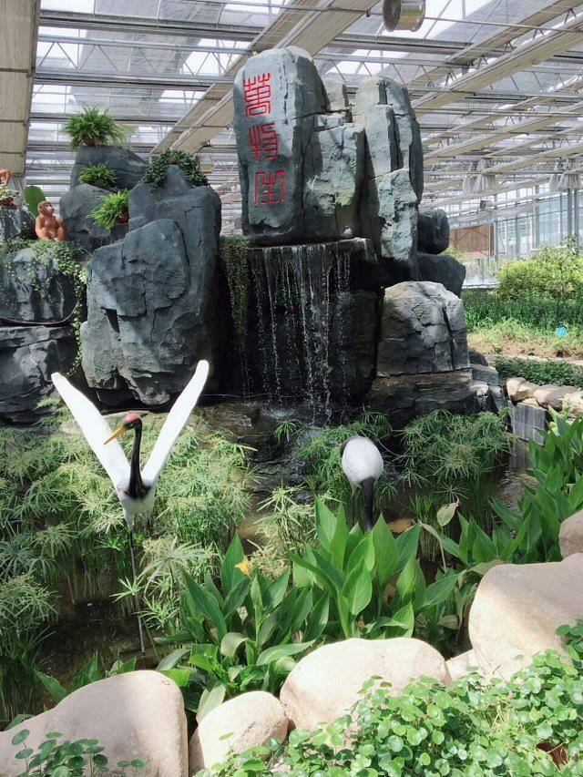 南和农业嘉年华