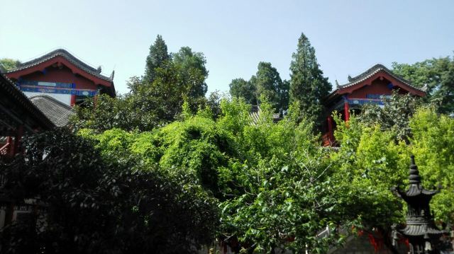 楼观台国家森林公园