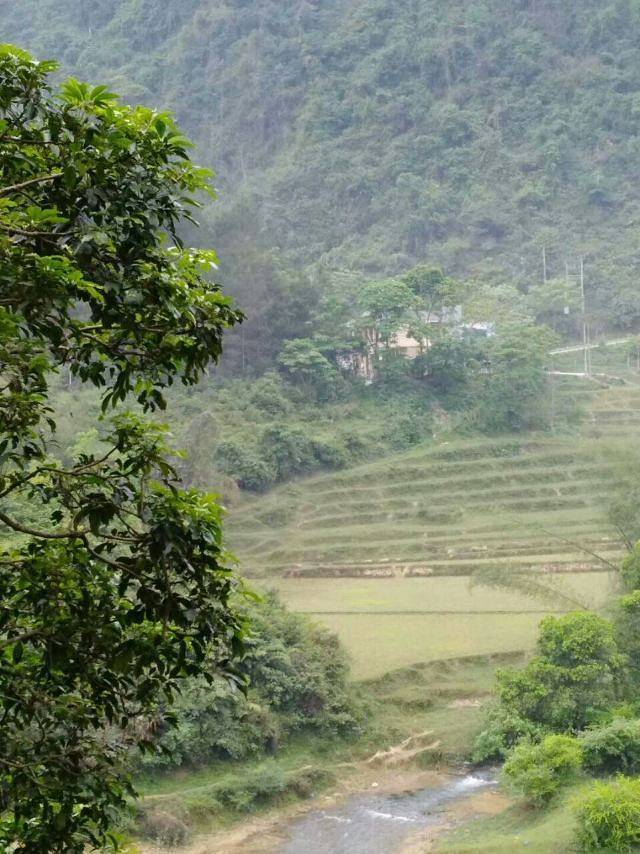 宁明花山温泉谷