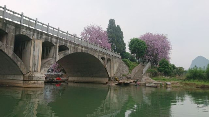 "_遇龙河景区"的评论图片