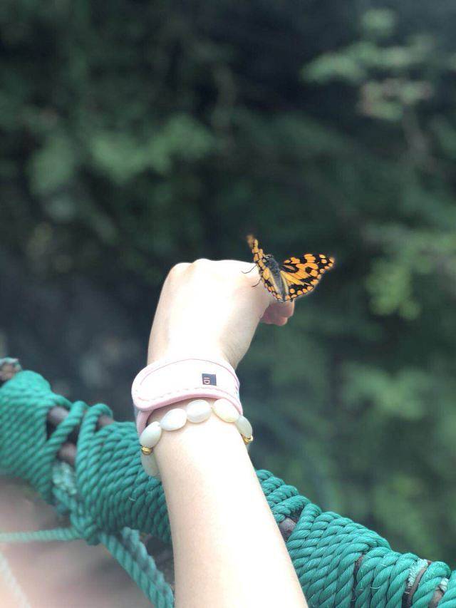 虎啸峡激流探险漂流