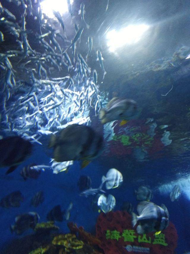 聊城海底世界