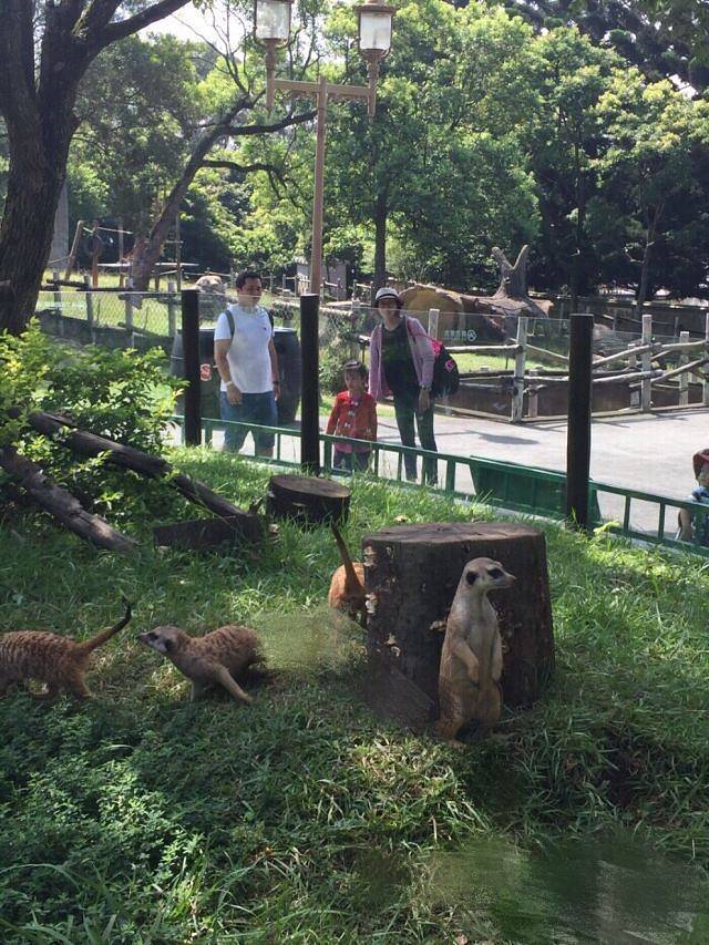台州湾野生动物园