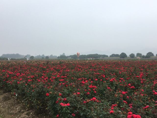 新沙岛旅游度假区