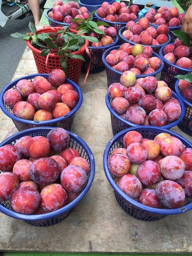 苏州旺山九龙潭风景区