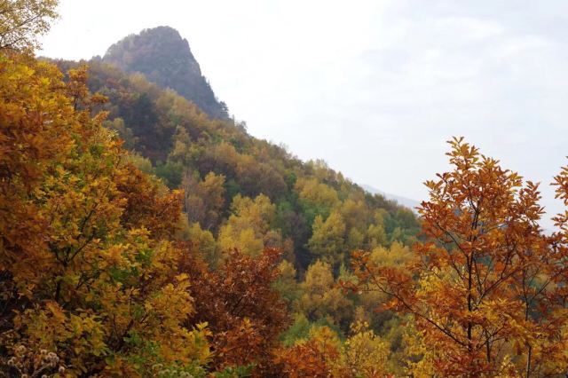 白草洼国家森林公园