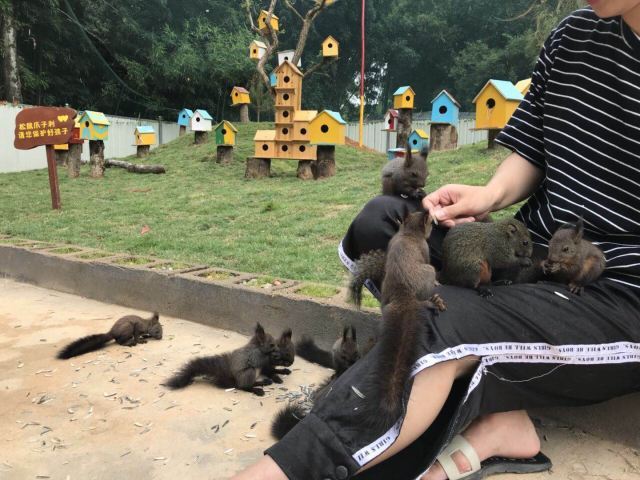 中国泰宁地质博物馆