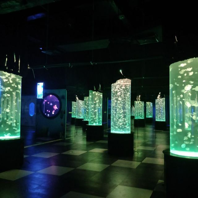 南海洋水母王国