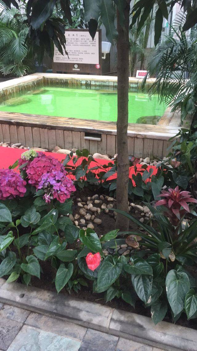 宗裕金汤水世界