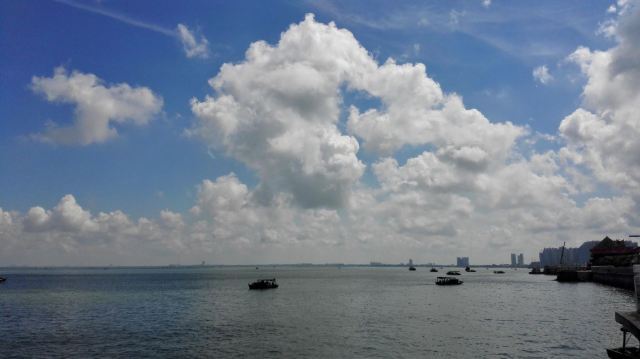 广西药用植物园