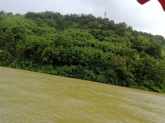 绥江竹海生态旅游景区