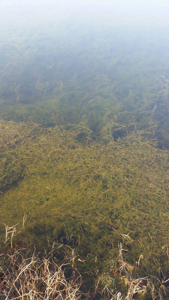 普罗旺斯薰衣草庄园