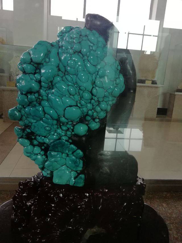 山东省天宇自然博物馆