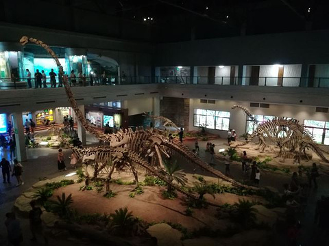 自贡恐龙博物馆旅游景点攻略图