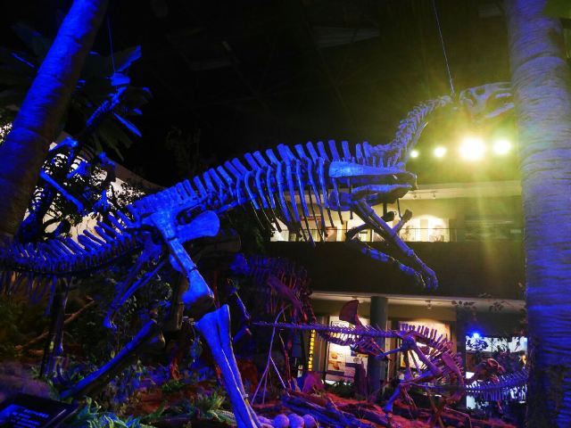 嘉荫神州恐龙博物馆