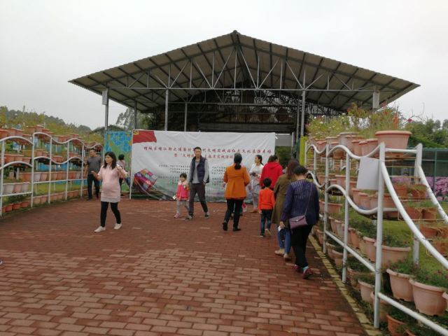 大埔围美丽乡村景区