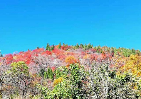 仙台山旅游景点攻略图