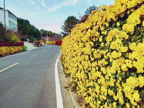 五脑山森林公园旅游景点攻略图