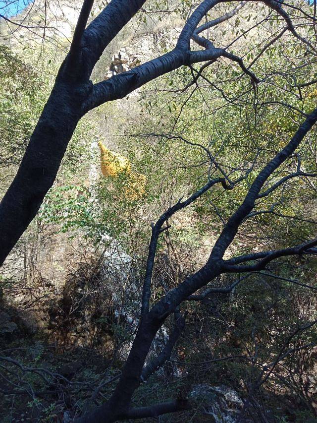 野三坡清泉山风景区
