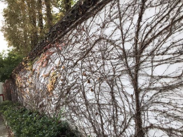 江南三民文化村