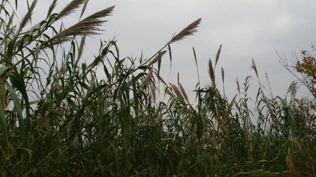 花乡茶谷旅游景区