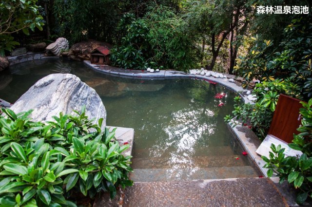 明熙森林温泉