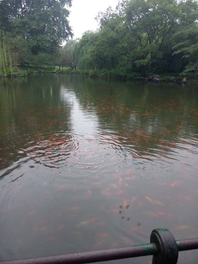 杭州HULUTOWN呼噜幼幼