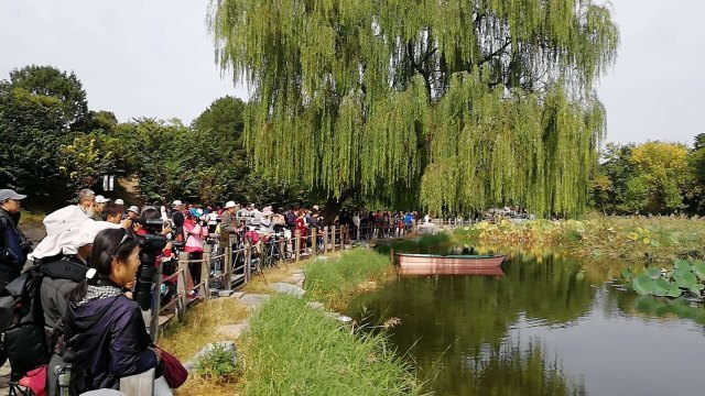 白洋淀梦里水乡