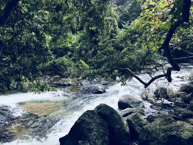 "景色着实优美，坐车至观景平台，正对五指山，蓝天白云青山绿水相互辉映_五指山水满河热带雨林风景区"的评论图片