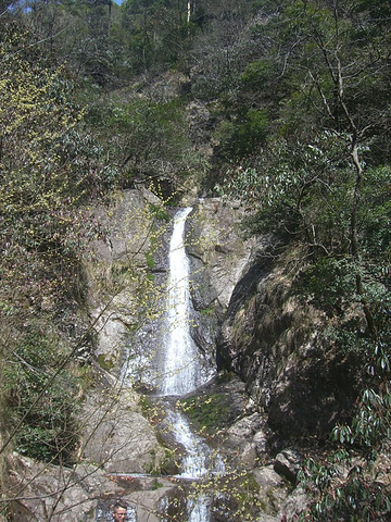 "第一次去临安，是十多年前了，当时住的山庄蛮美的，但路不好开。这次恰好相反，住有有点简陋，但路好开多了_东天目山景区"的评论图片