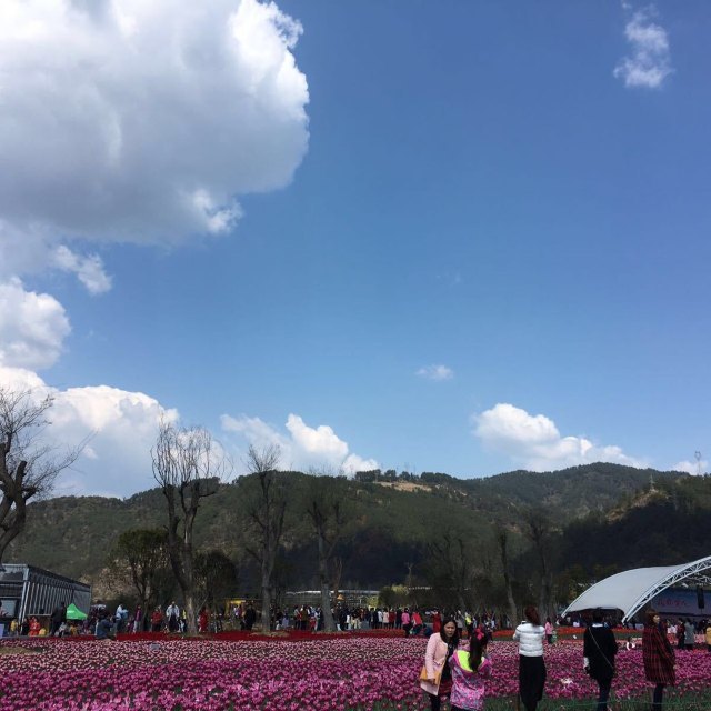 黄龙壹号生态园