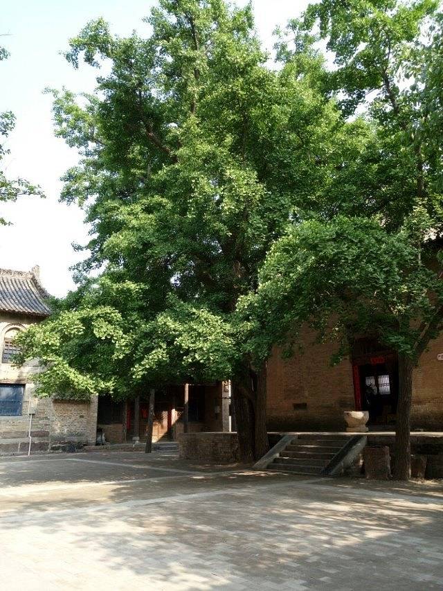 白云寺国家森林公园