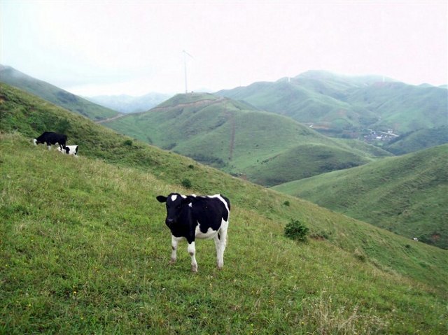 南山风景名胜区