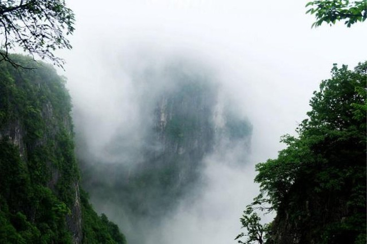 "这才是真正“会当凌绝顶，一览众山小”的感觉，天气不好的时候更要拼运气了，有时候走到一个地方刚好..._天门山国家森林公园-鬼谷栈道"的评论图片