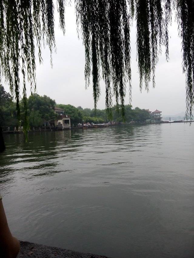 杭州HULUTOWN呼噜幼幼