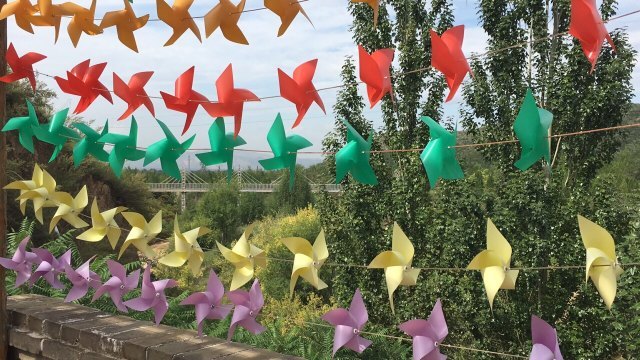 山西凤凰山生态植物园