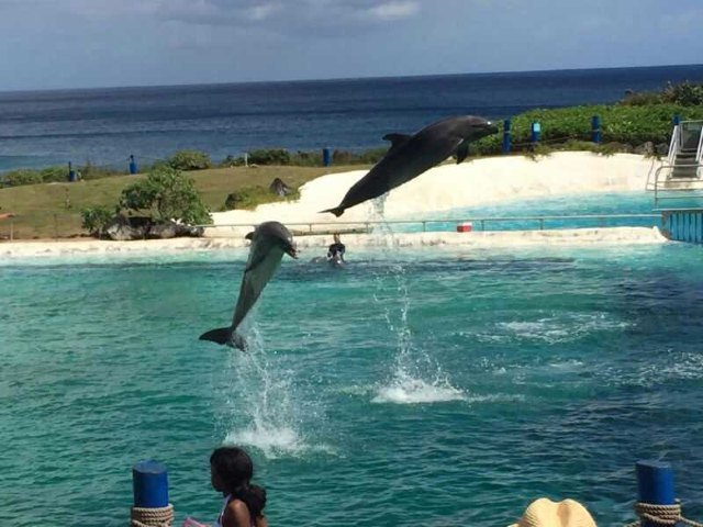 夏威夷海洋生物公园