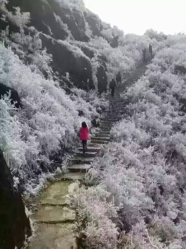 惠州南山漂流