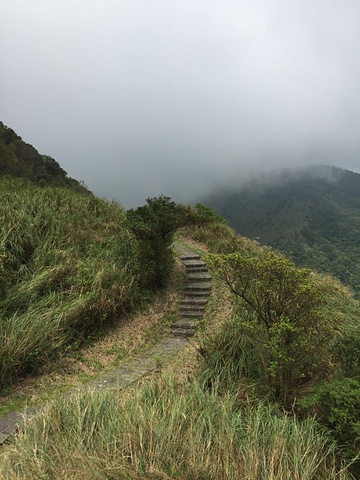 21 山 冷水坑下山 然后坐小15下山 风景非常的美 值得一去 不过路不好走 台阶不平 穿个舒服的鞋 阳明山国家公园 评论 去哪儿攻略