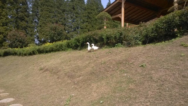 长江药用植物园