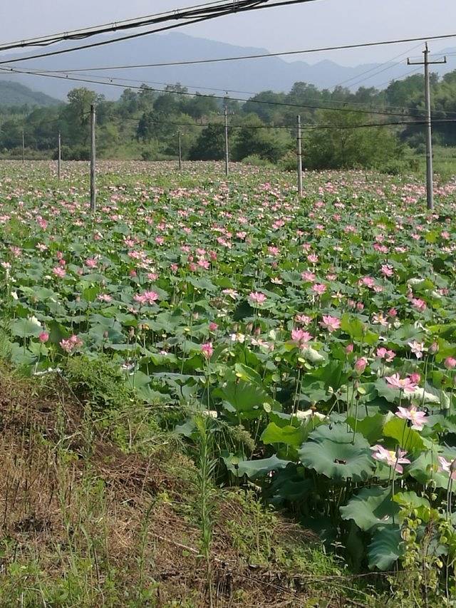 九曲天河漂流景区