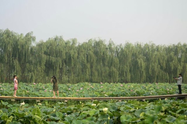 聊城南湖湿地公园