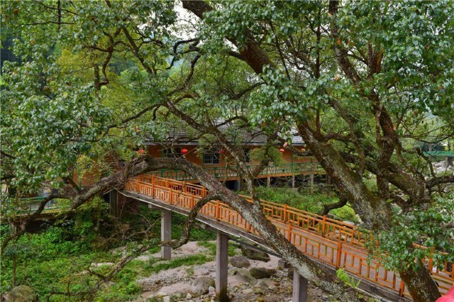 武功山温泉山庄