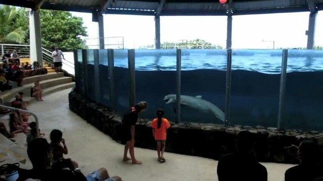 夏威夷海洋生物公园