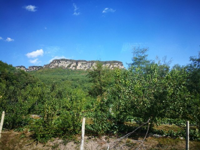 黄椅山森林公园